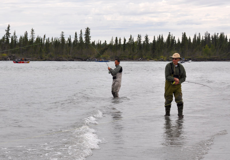 07-23-11 Alex Art sockeye double 1.jpg 07-23-11 Alex Art sockeye double 1.jpg